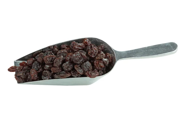 Cuillère de raisins secs — Photo
