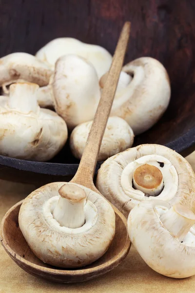 Cogumelos de botão — Fotografia de Stock