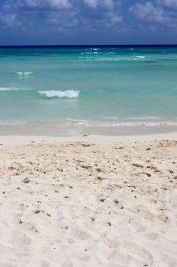 Beach and Ocean background