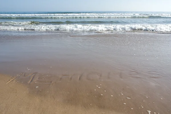 Stock image Sea-shore