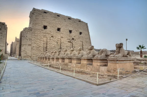 Callejón de las esfinges en Karnak — Foto de Stock