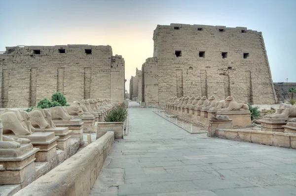Entrée de Karnak — Photo