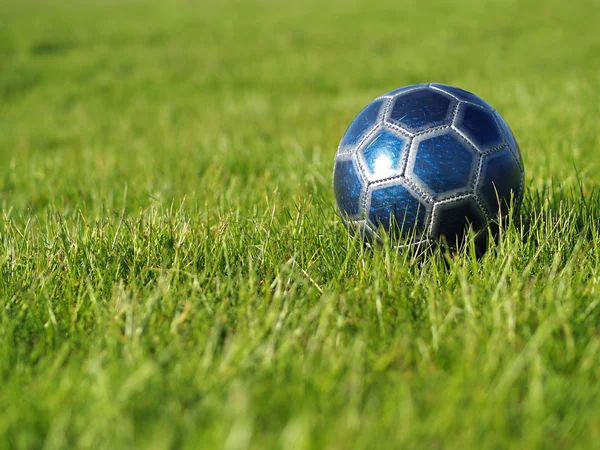 Blue Soccer Ball on Grass — Stock Photo, Image