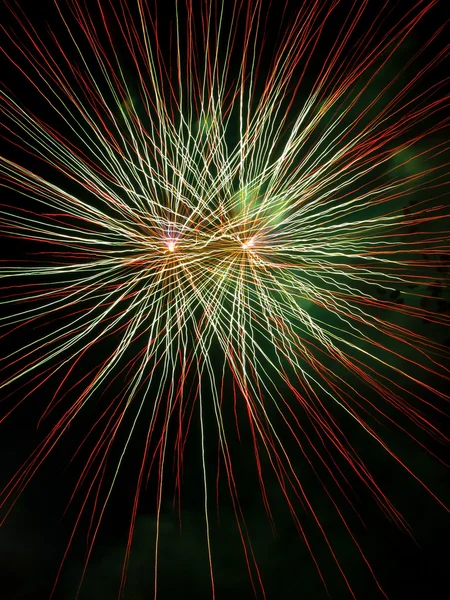 Fireworks in the Park — Stock Photo, Image