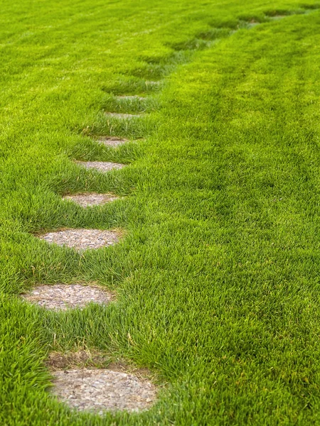 Stone path through a green grassy lawn backgroun — Zdjęcie stockowe