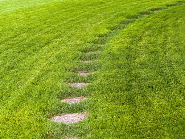 Stone path through a green grassy lawn backgroun — Zdjęcie stockowe