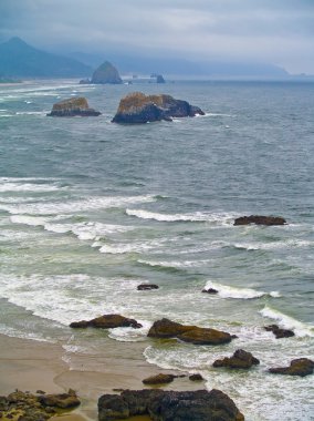 Oregon kıyılarında ecola Devlet Parkı