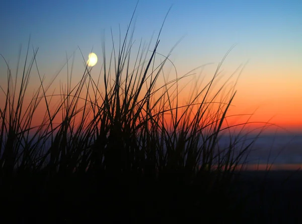 Okyanus moonrise Beach çim ile kontrast — Stok fotoğraf