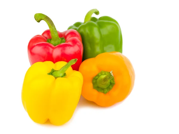 Čtyři barevné papriky izolované na bílém — Stock fotografie