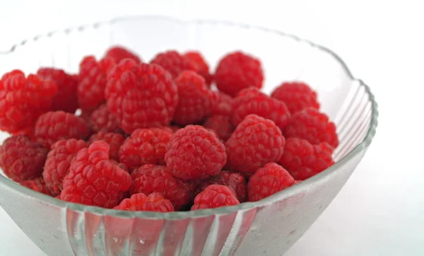 stock image Raspberries Close Up in a Bowl on White