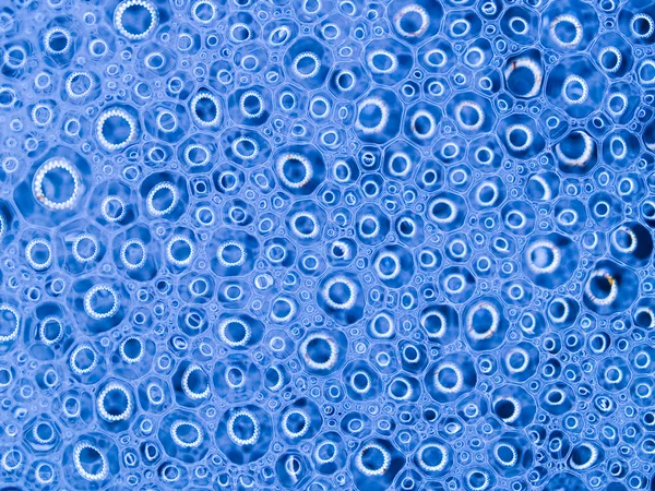 Såpbubblor med reflektioner makro med blå co — Stockfoto