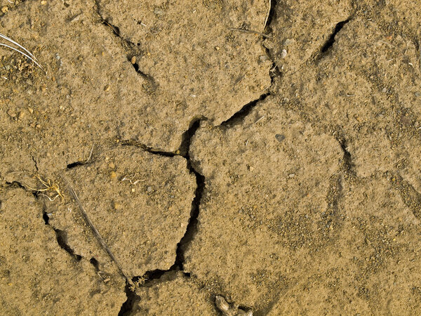 Parched and Cracked Dry Ground in Full Sunlight