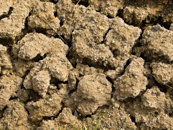 Stock image Parched and Cracked Dry Ground in Full Sunlight