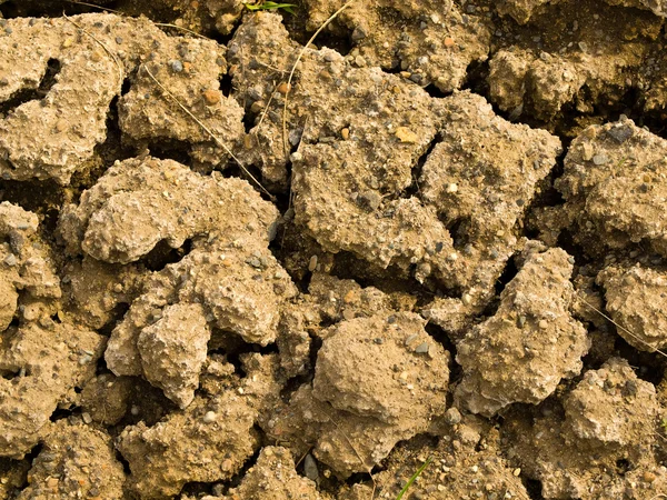 stock image Parched and Cracked Dry Ground in Full Sunlight