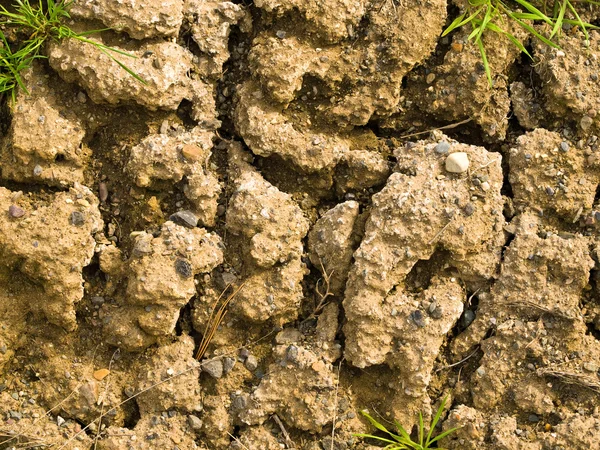 stock image Parched and Cracked Dry Ground in Full Sunlight