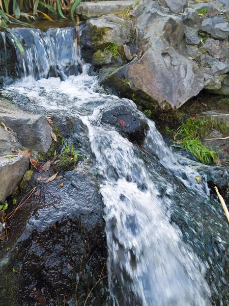 Een kleine stroom die stroomt over sommige rotsen maakt een waterval — Stok fotoğraf