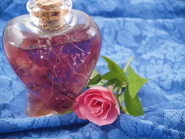 Zartrosa Rosen in einer romantischen Szene auf blauer Spitze arrangiert — Stockfoto