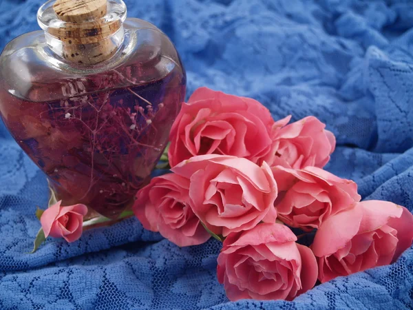 Soft Pink Roses Arranged in a Romantic Scene on Blue Lace — Stock Photo, Image