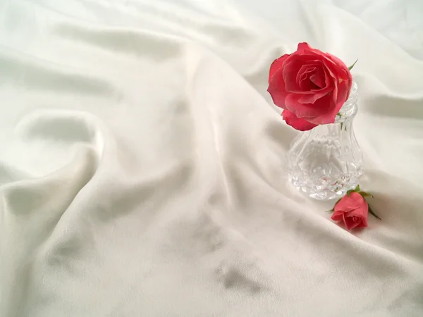 Zarte rosa Rosen in einer romantischen Szene arrangiert — Stockfoto