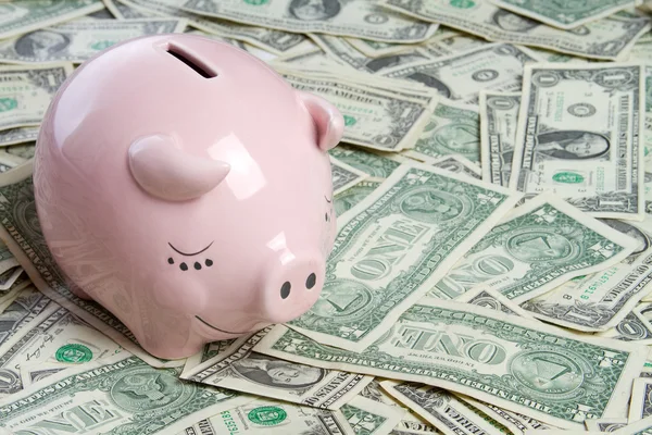 Money Pig — Stock Photo, Image