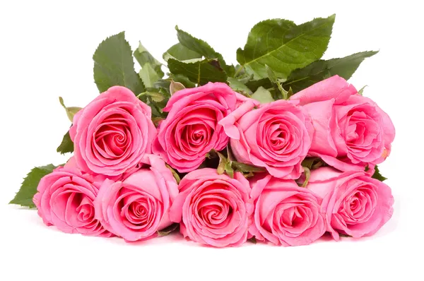 Um monte de rosas rosa — Fotografia de Stock