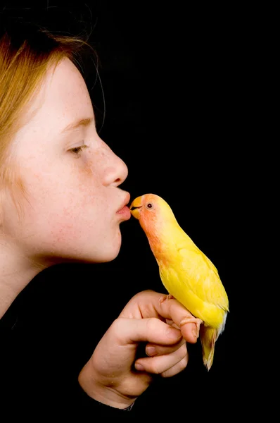 Stock image Little girl is kissing lovebird on black