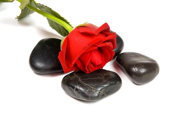 빨간 장미와 함께 스파 돌 — 스톡 사진