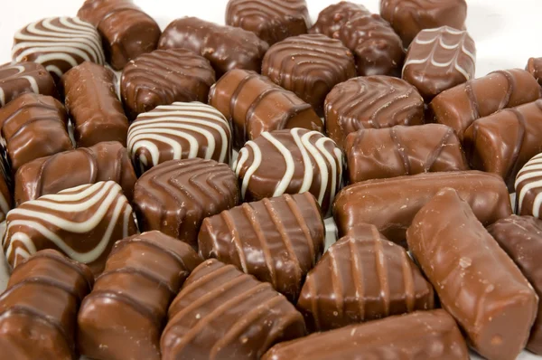 Dunkle, milchige und weiße Schokoladenpraline — Stockfoto