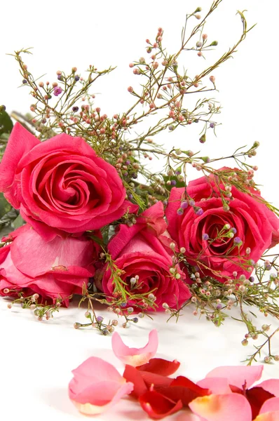 Букет рожевих троянд ізольовано на білому — стокове фото