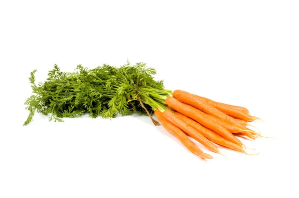 Ramo de zanahoria —  Fotos de Stock