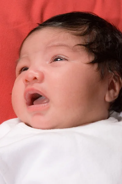 Multiracial baby laying — Stock Photo, Image