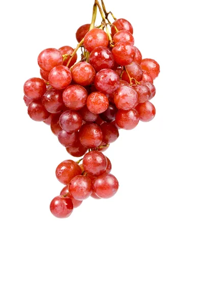 Червоний стиглий виноград з краплями води — стокове фото