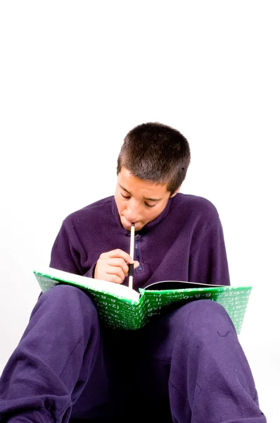 Pakistan schooljongen bestudeert Rechtenvrije Stockafbeeldingen