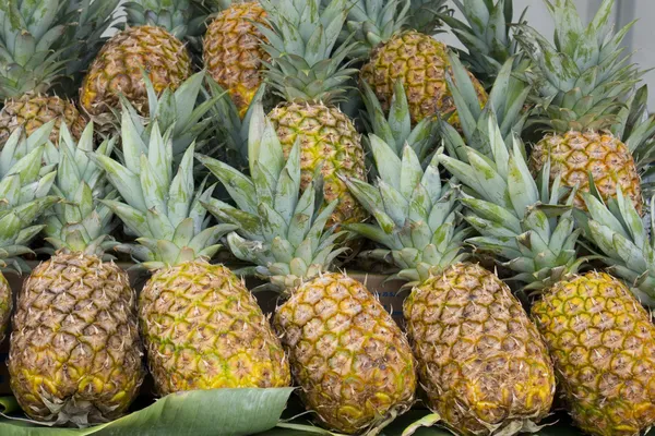 stock image Honey Pineapples