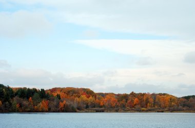 Fall colored trees by a lake clipart