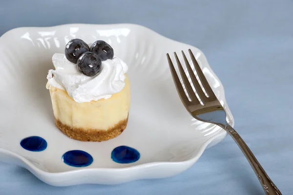 Cheesecake con mirtilli freschi — Foto Stock