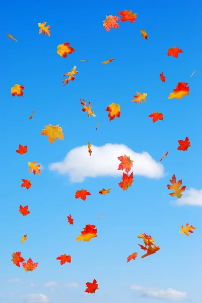 Fall colored fake leaves falling — Stock Photo, Image