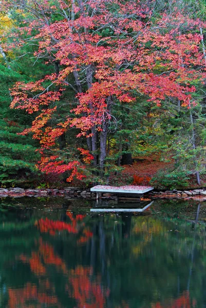 秋のドック — ストック写真