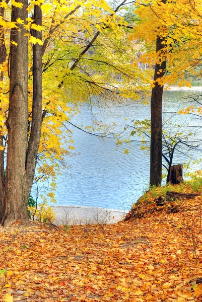 Fall view of a lake through trees — Stock Photo, Image