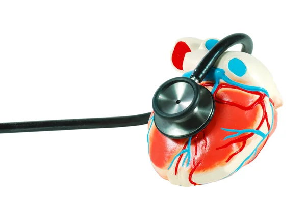 Stetoskop bir kalp — Stok fotoğraf
