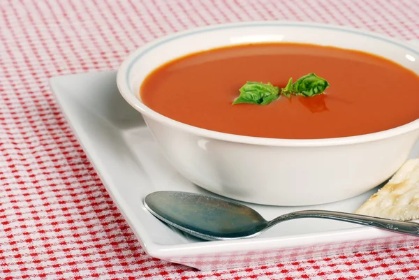 Tomato soup focus on front edge of bowl — Stock Photo, Image