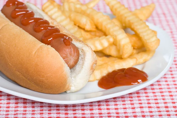 Primer plano de un perrito caliente y papas fritas con ketchup —  Fotos de Stock