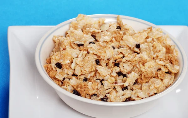 Closeup bowl of cereal with dried blueberries — Stock Photo, Image
