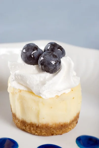 Closeup cheesecake met verse bosbessen — Stockfoto