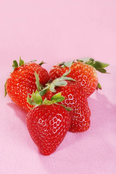 Gros plan fraises sur rose — Photo