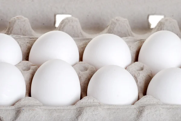 Yumurta taşımak — Stok fotoğraf
