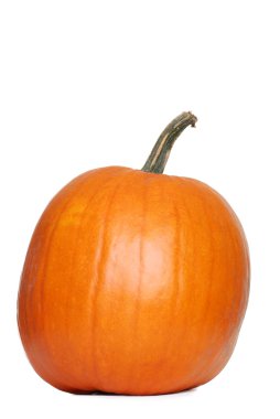 Large pumpkin clipart