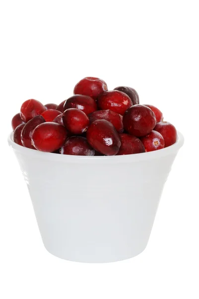 Isolated cranberries in bowl — Stock Photo, Image