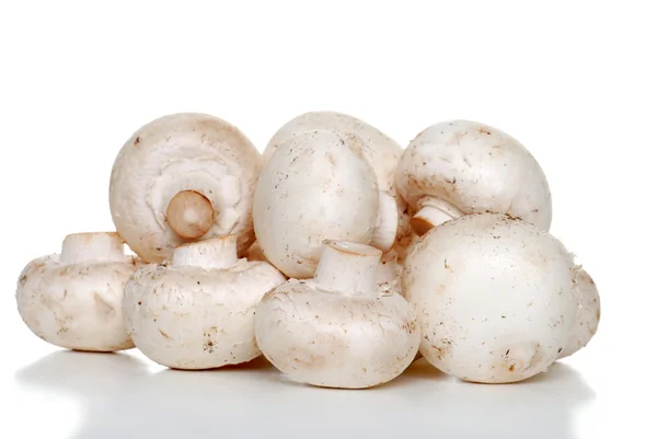 stock image Isolated pile of white mushrooms