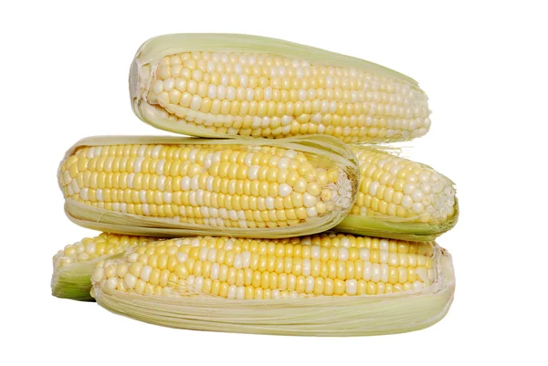 Isolated pile of sweet corn — Stock Photo, Image